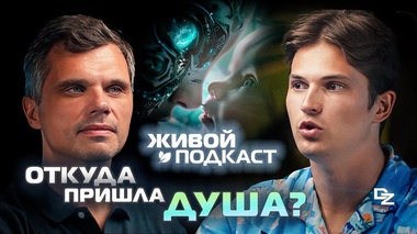 ДУША И АБОРТ: ГДЕ ГРАНЬ ЖИЗНИ? - Даниил Зуев