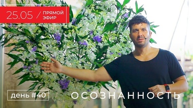 ЖИЗНЬ В НАСТОЯЩЕМ МОМЕНТЕ - Артур Сита