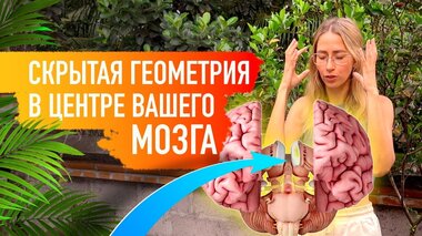 ЦЕНТР УПРАВЛЕНИЯ ЧЕЛОВЕКОМ И СКРЫТАЯ ГЕОМЕТРИЯ В ВАШЕМ МОЗГЕ | Анна Мудра